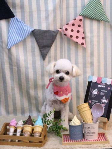 20250515小雪ちゃん